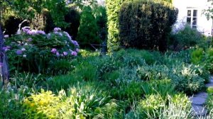 Сад Марины Крячко