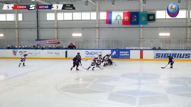 Матч №15 • Сокол — Алтай • 2016-U8 • Арена ЛДС Кольцово • 7 мая 2023 в 11:00 смотреть онлайн
