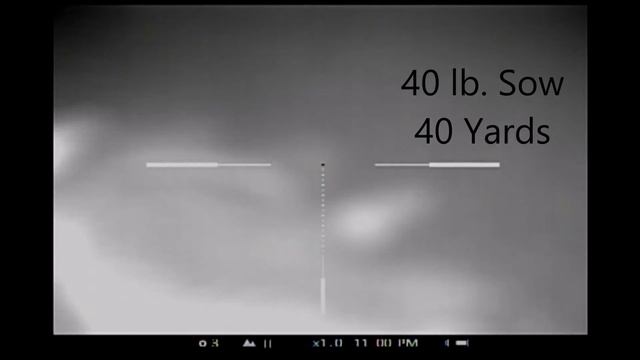 Thermal Hog Hunt: Partial Cephalectomy - Carpe Sus смотреть онлайн