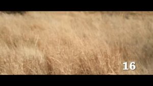 The Jurassic Games (2018) Carnage Count