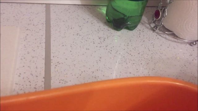 Пересадка Антуриума Андре. Условия содержания. смотреть онлайн