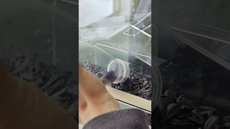 Кормушка для птиц на окно