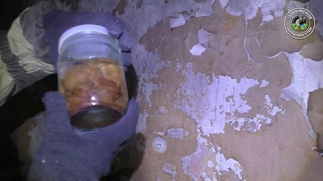 Чем они тут занимались? Заброшенный НИИ растениеводства (Заброшенная страна - выпуск 43)