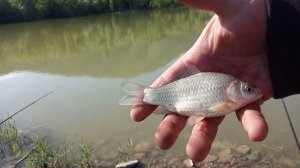 Рыбалка близ Алматы. Горное озеро Джандосово.