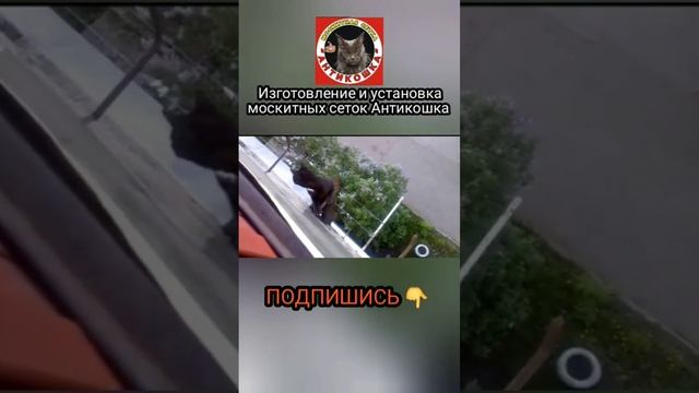Изготовление москитных сеток #антикошка #антикоготь #кошки #коты #котята #окна #москитныесетки