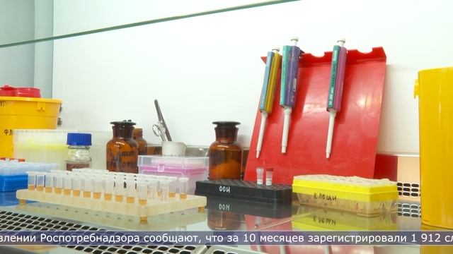 22.11.2023 Дайджест смотреть онлайн