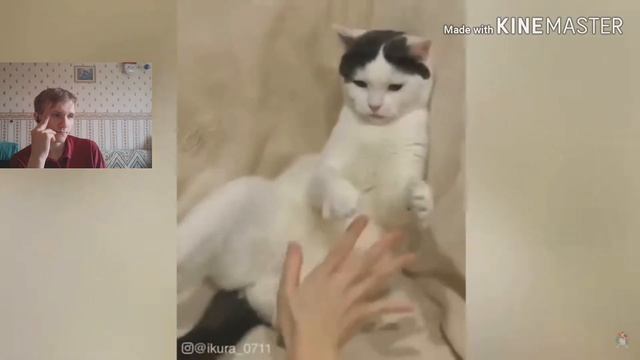 СМОТРИМ ТЕСТ НА ПСИХИКУ. СМЕХ ДО СЛЕЗ.2019 ПРИКОЛЫ смотреть онлайн