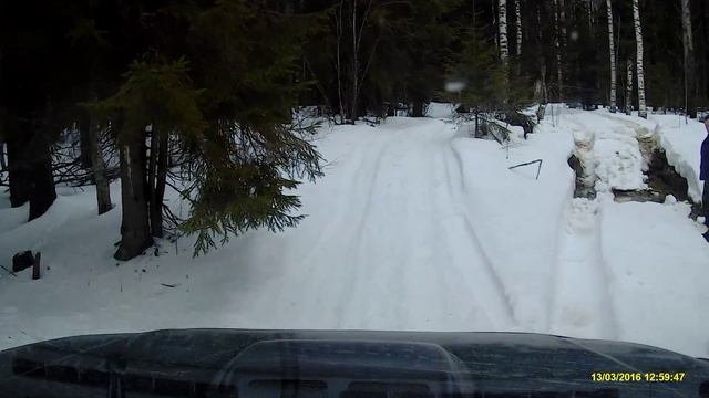 Поездка до лесного озера смотреть онлайн