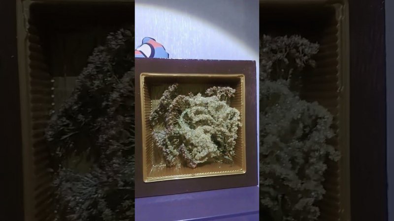 самые необычные часы готовы!