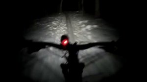 Начало репки зимней ночью