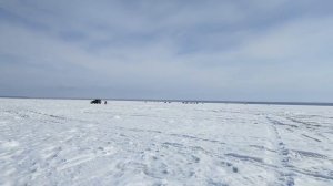 СУДАК НА РАТТЛИНЫ. Зимняя рыбалка со льда