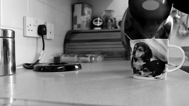 Canon 500d video TEST смотреть онлайн