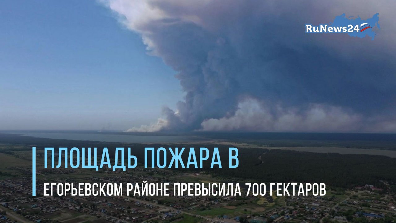 Семьсот гектар. 700 Гектар. Егорьевский район пожар. Пожары в Егорьевском районе. Что горит в Алтайском крае.