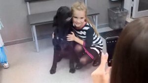 Новая ветеринарная клиника Новосибирска