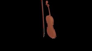 3D violin