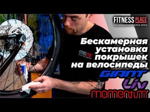 Бескамерная установка покрышек на велосипеды Giant, Liv и Momentum