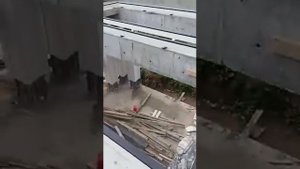 Монтаж стеклянных конструкций для крыши навеса