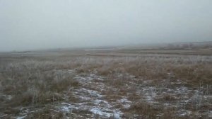охота с пневматикой мр512,последняя утка)