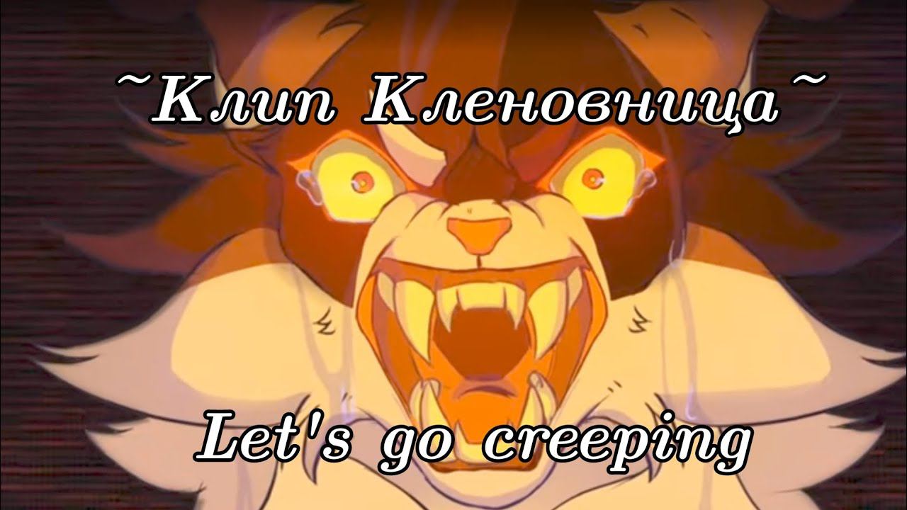 ~Клип Кленовница~ Let's go creeping #котывоители #врекпж #аткивпж #активвернись #кленовница #wc
