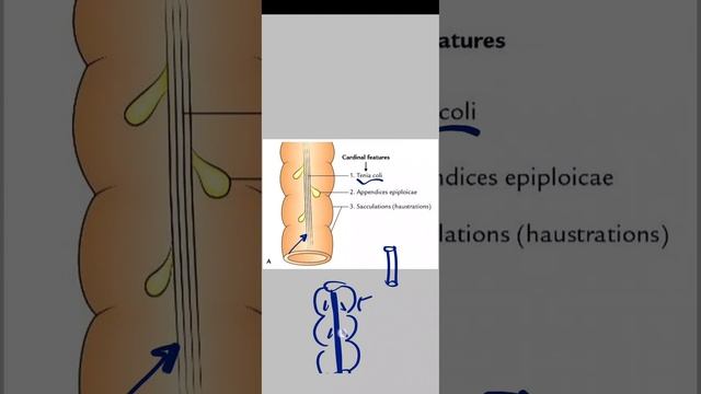 GIT revision смотреть онлайн