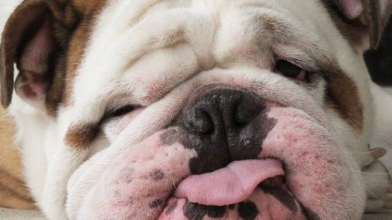 Привет Я ИЛЮХА!