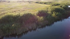 Рыбалка, Баево, 2023