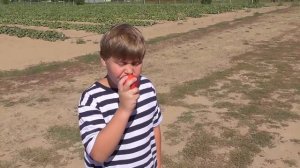 ФЕРМЫ в США Едем собирать ЕЖЕВИКУ и ПЕРСИКИ  Жизнь многодетной семьи в Америке