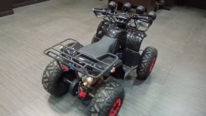 Обзор квадроцикла Bison KIDS 125 LD