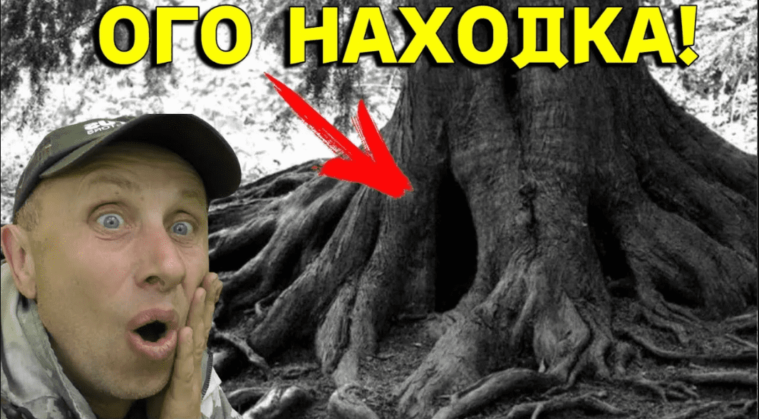 ПОЛ ДНЯ РУКИ ТРЯСЛИСЬ от ВЫКОПАННОЙ НАХОДКИ  в СТАРОМ ЛЕСУ! ОГО, Повезло! В Поисках Клада от Влада!