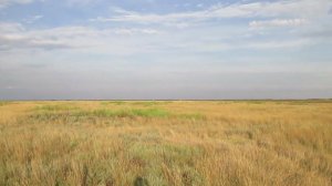 Опустевший хутор Мартыщи (Коммуна), Ровенский район.