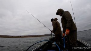 Два зачетных судака под 5кг! Рыбалка на Волге в конце октября на джиг.