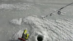 Found October Ice to Fish Near 11K Elevation Catching Cutthroat Trout