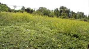 Насадка БАБОЧКА и другие, на #триммер Косьба Соловей Сельское #подворье на #Урале