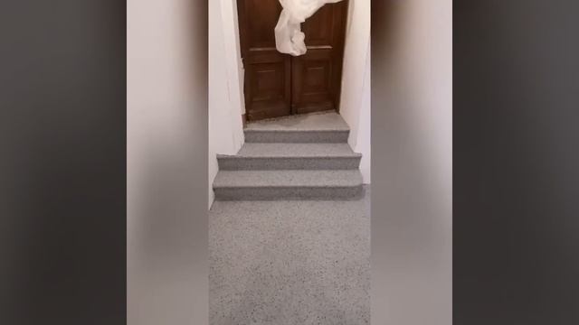 Флоковый ковер в Кремле часть 3