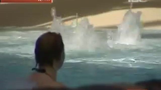 Все петербургские аквапарки работают с серьезными смотреть онлайн