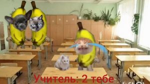 Чипи чапа