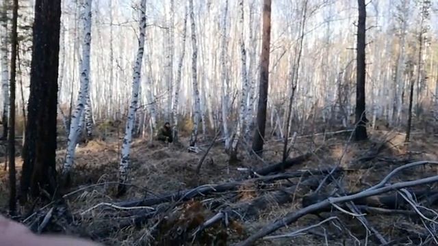 За соком берёз на мотиках Stels GT-400 и Racer Ranger-300 смотреть онлайн