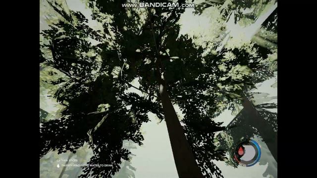 THE FOREST ЛЕТСПЛЕЙ НА 50 ПОДПИСЧИКОВ ВЫЖИВАЕМ КАК МОЖЕМ....