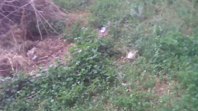 Вторая часть Разбей яйцо смотреть онлайн