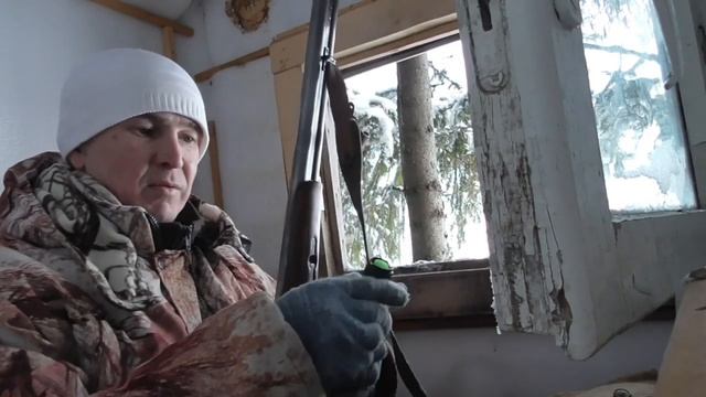 Привада на лису работает.Очередная засидка на лабазе,ждем лису!!! смотреть онлайн