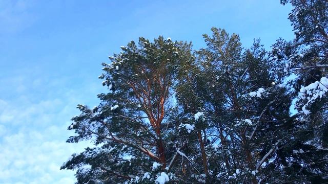 Истории из жизни Решила разоблачить мужа в измене и установила скрытую камеру но то что она выяснил