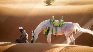 Мудрость историй о пророках