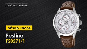 Часы наручные мужские Festina Chrono Sport F20271/1