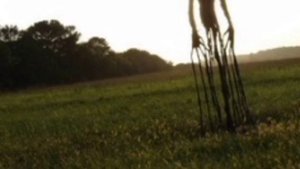 страшная японская легенда про Кун - Кун