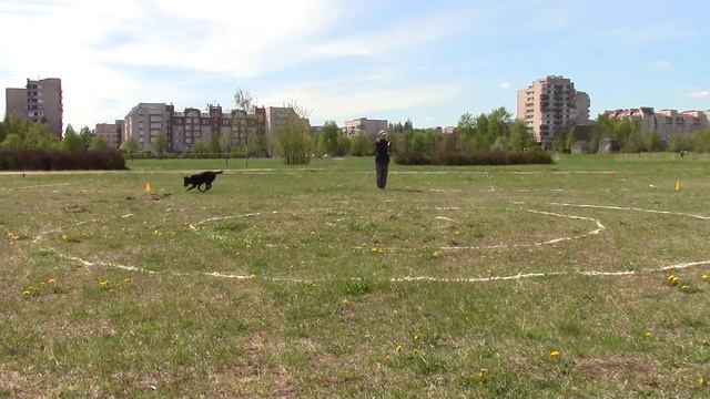 Архангельская Ольга и Джерри 27.05.2017 Соревнования DREAM GAMES