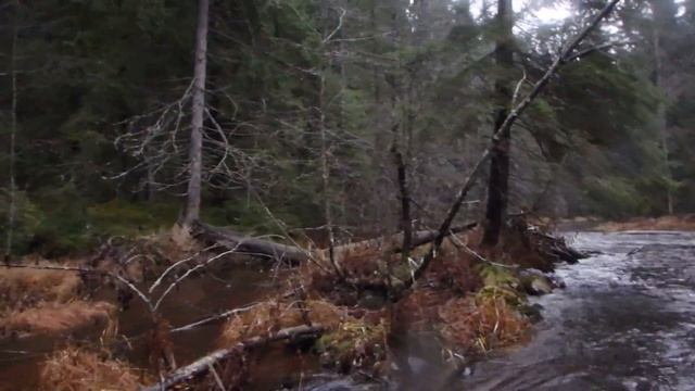 Осень 2017 последняя рыбалка по жидкой воде. Новоселовка.