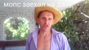 Мопс поясняет за шляпу на буче