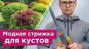 Какие кустарники СТОИТ ОБРЕЗАТЬ ВЕСНОЙ, а какие лучше не трогать? Правила формирования кустарников