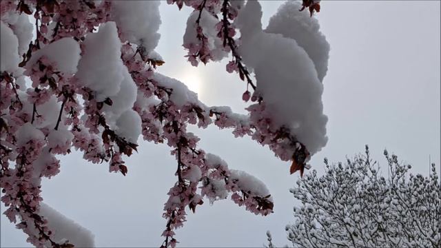 [74]🙏 Кран переставляет ёмкости с кирпичами и семенами, сон смотреть онлайн