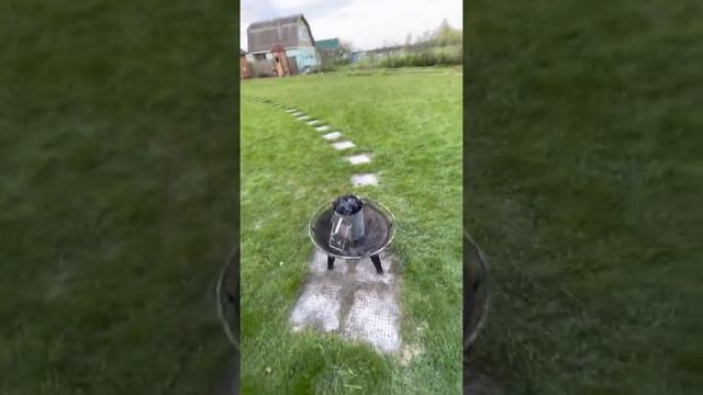 Суперстартер для розжига углей и защитный экран от ветра смотреть онлайн